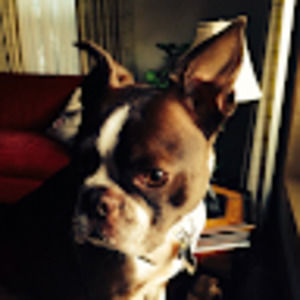 Meet your Posher, Erin